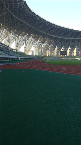 �\�ӈ����w��ƺ9